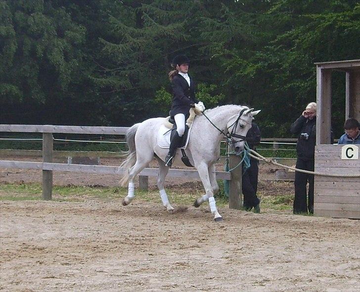 Stævne Ebeltoft Rideklub ;-) billede 145