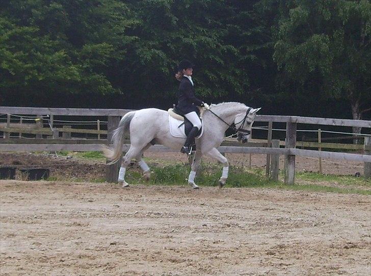 Stævne Ebeltoft Rideklub ;-) billede 146