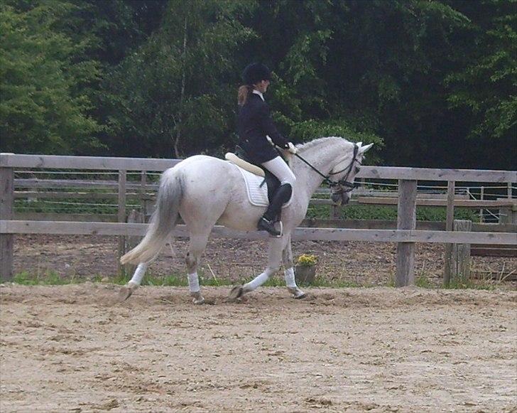 Stævne Ebeltoft Rideklub ;-) billede 147