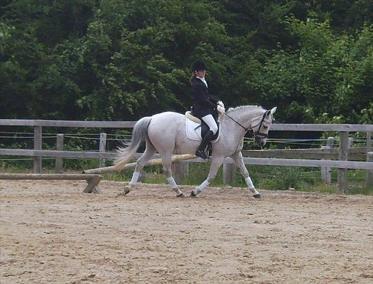 Stævne Ebeltoft Rideklub ;-) billede 149