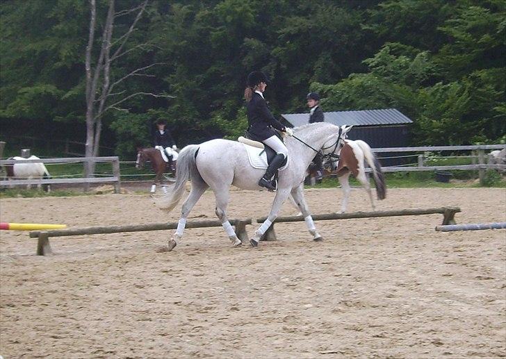 Stævne Ebeltoft Rideklub ;-) billede 150