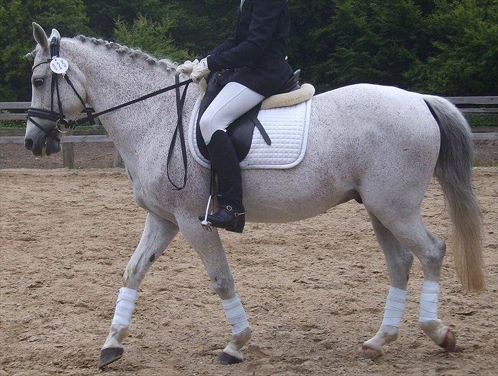 Stævne Ebeltoft Rideklub ;-) billede 151