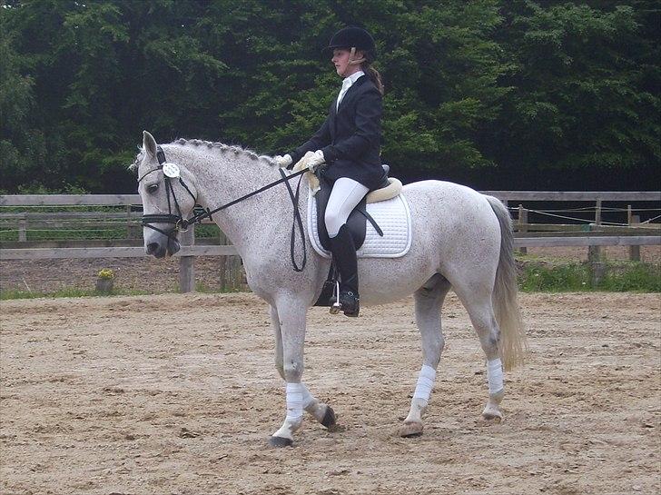 Stævne Ebeltoft Rideklub ;-) billede 152