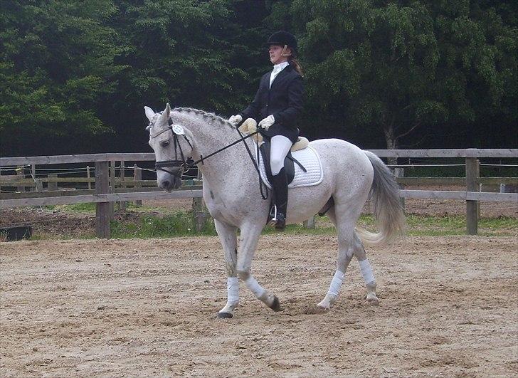 Stævne Ebeltoft Rideklub ;-) billede 153