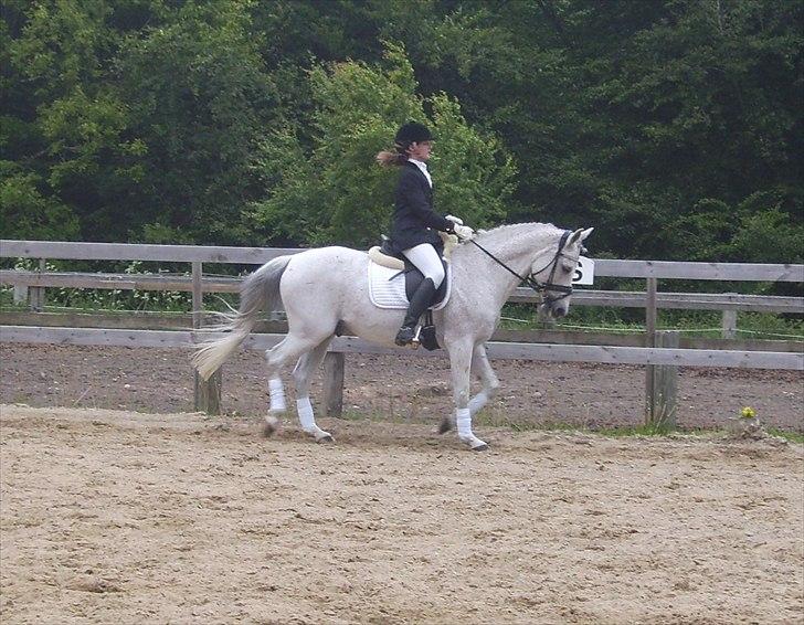 Stævne Ebeltoft Rideklub ;-) billede 154
