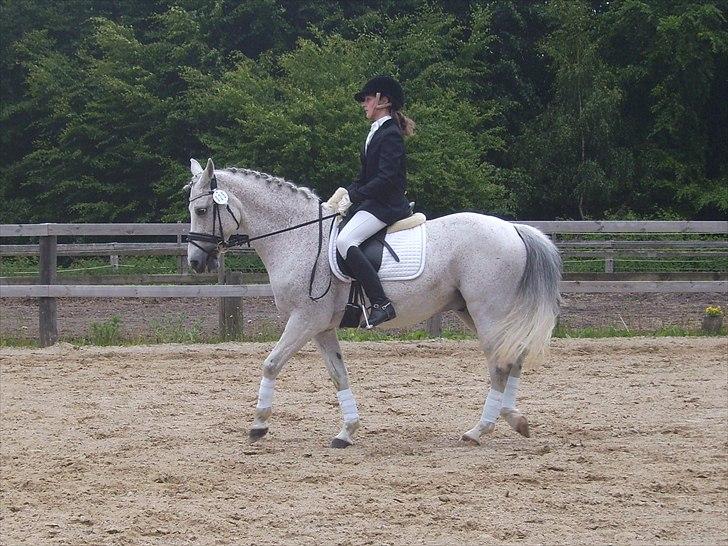 Stævne Ebeltoft Rideklub ;-) billede 155