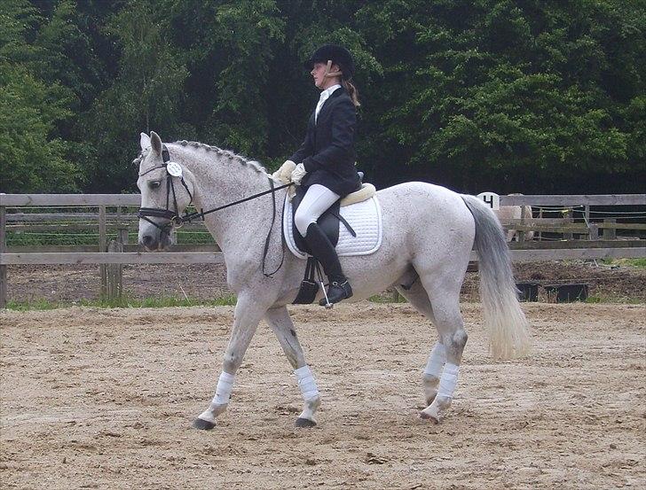 Stævne Ebeltoft Rideklub ;-) billede 156