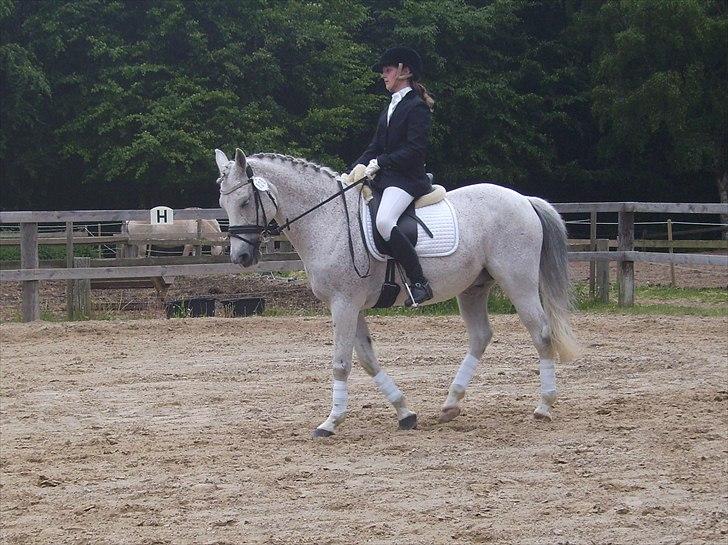 Stævne Ebeltoft Rideklub ;-) billede 157