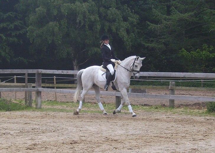 Stævne Ebeltoft Rideklub ;-) billede 158