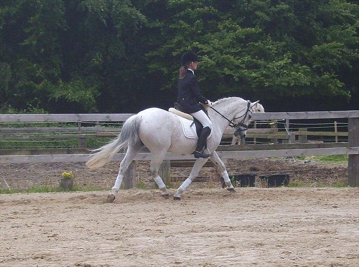 Stævne Ebeltoft Rideklub ;-) billede 159