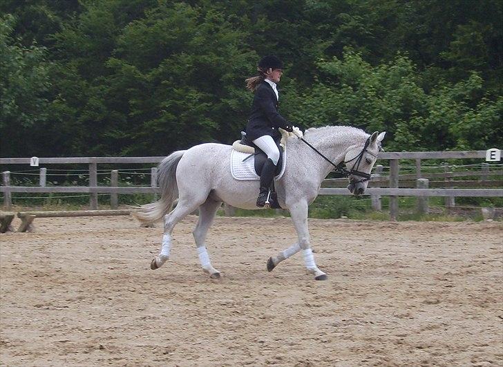 Stævne Ebeltoft Rideklub ;-) billede 160