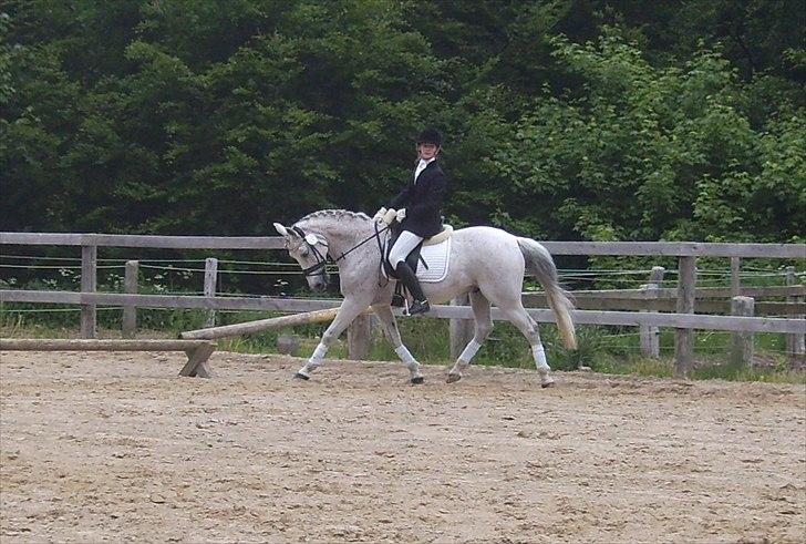 Stævne Ebeltoft Rideklub ;-) billede 161