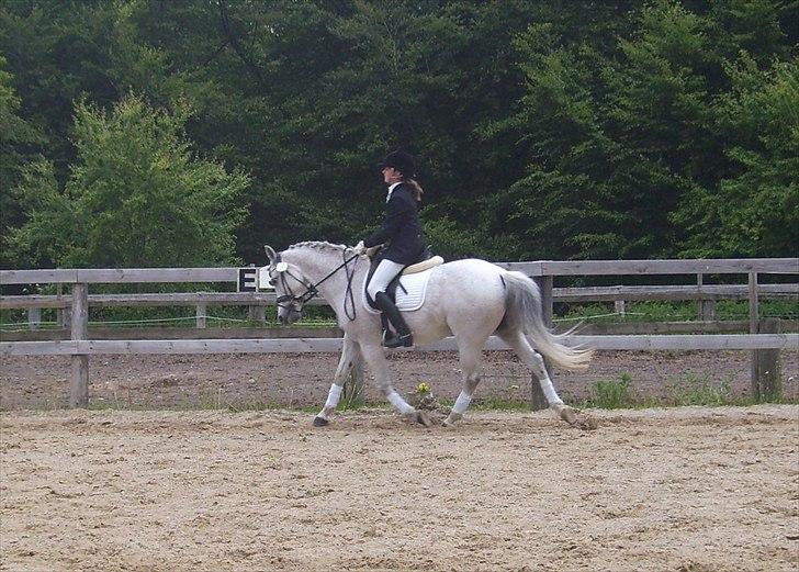Stævne Ebeltoft Rideklub ;-) billede 162