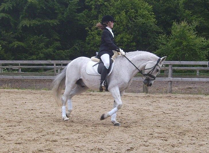 Stævne Ebeltoft Rideklub ;-) billede 163