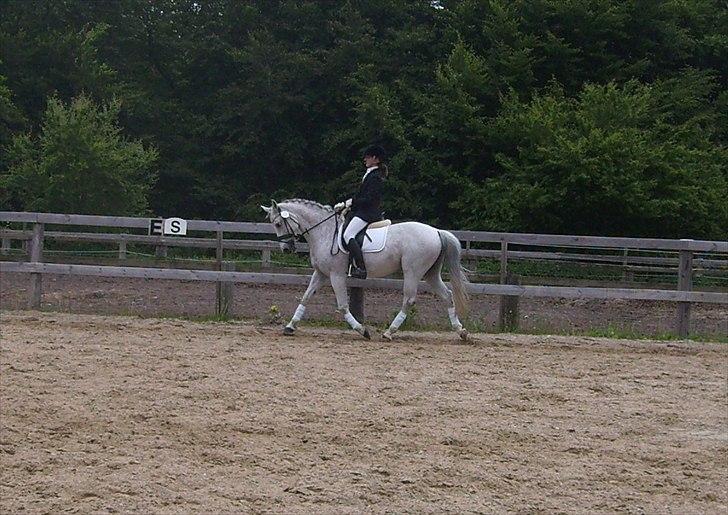 Stævne Ebeltoft Rideklub ;-) billede 164