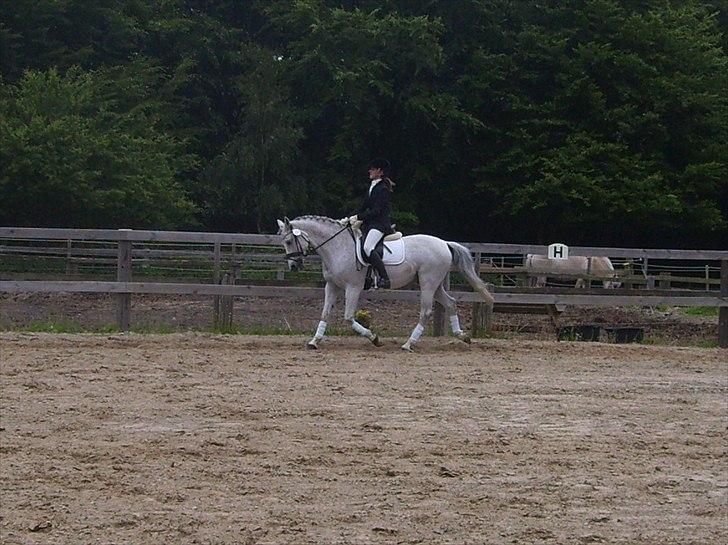 Stævne Ebeltoft Rideklub ;-) billede 165