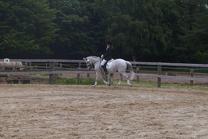 Stævne Ebeltoft Rideklub ;-) billede 166