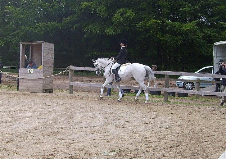 Stævne Ebeltoft Rideklub ;-) billede 167