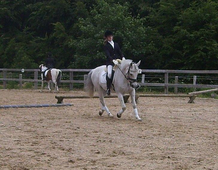 Stævne Ebeltoft Rideklub ;-) billede 168