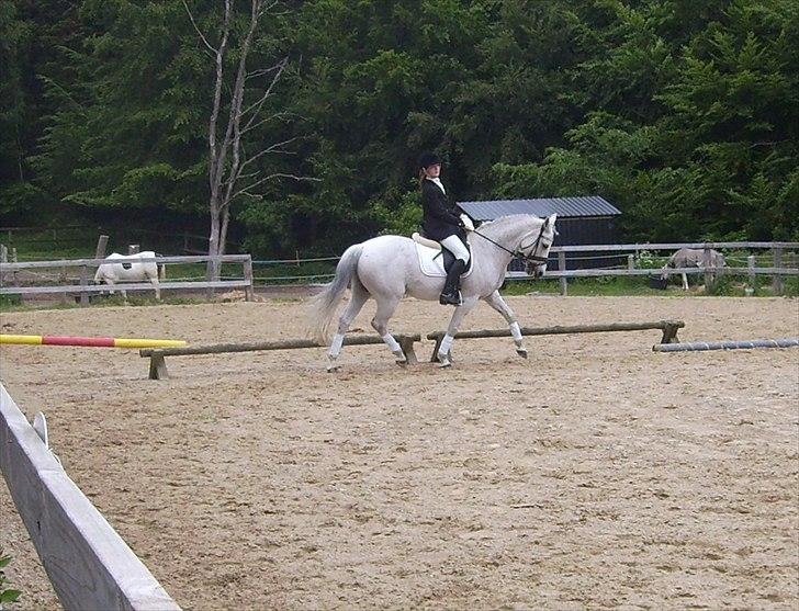 Stævne Ebeltoft Rideklub ;-) billede 169