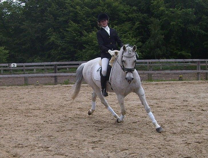 Stævne Ebeltoft Rideklub ;-) billede 170