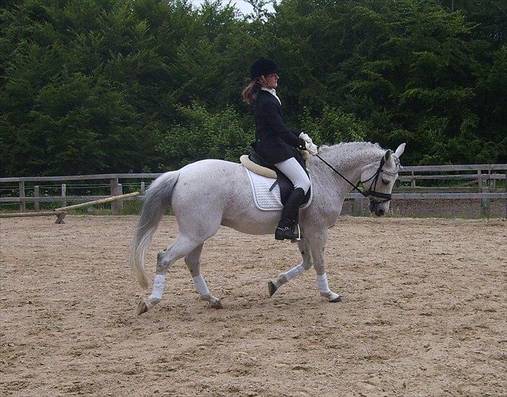 Stævne Ebeltoft Rideklub ;-) billede 171