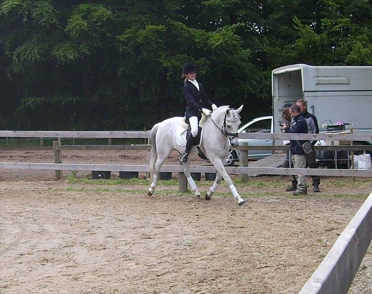 Stævne Ebeltoft Rideklub ;-) billede 172