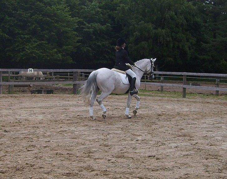 Stævne Ebeltoft Rideklub ;-) billede 173
