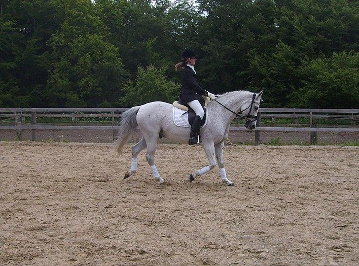 Stævne Ebeltoft Rideklub ;-) billede 174