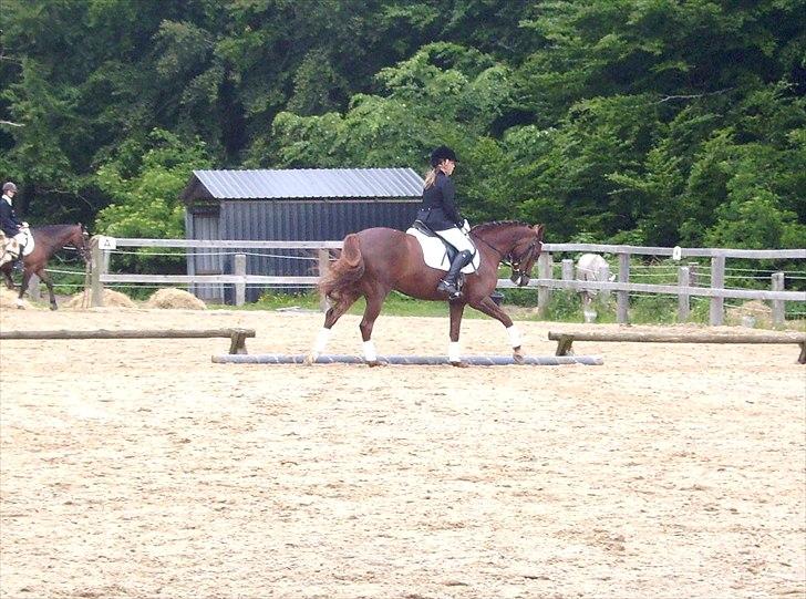 Stævne Ebeltoft Rideklub ;-) billede 175