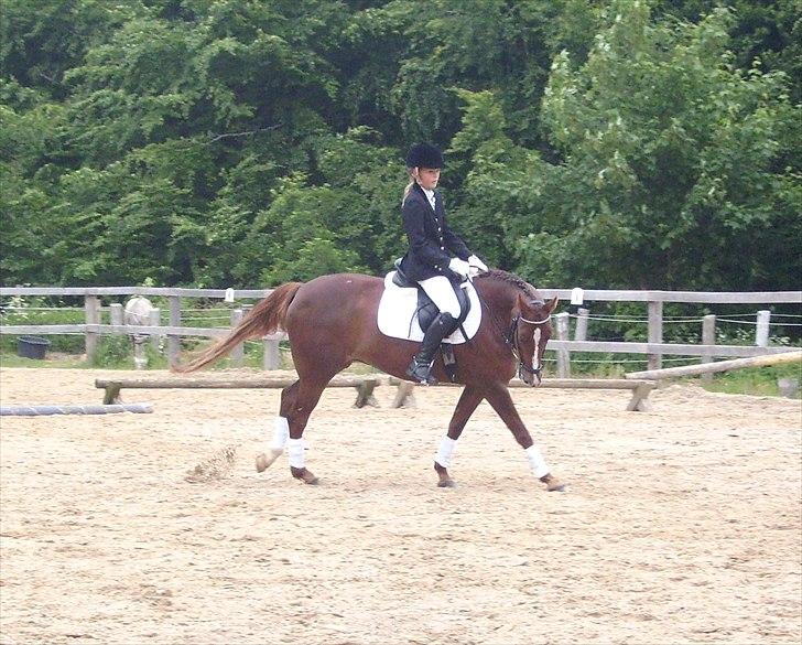 Stævne Ebeltoft Rideklub ;-) billede 176