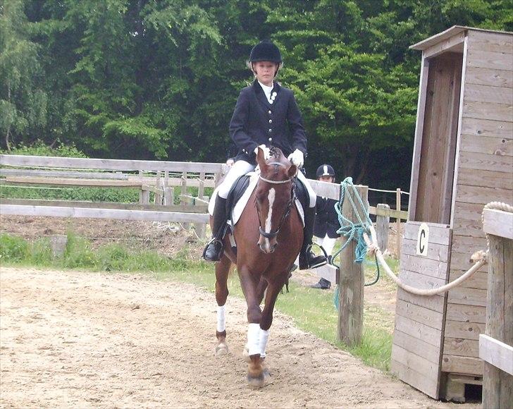 Stævne Ebeltoft Rideklub ;-) billede 177