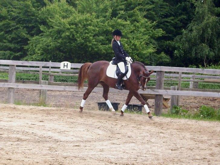 Stævne Ebeltoft Rideklub ;-) billede 178