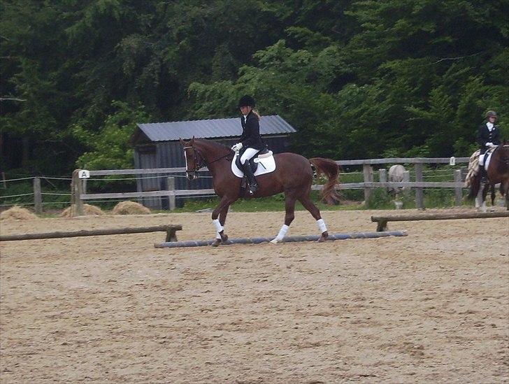 Stævne Ebeltoft Rideklub ;-) billede 179