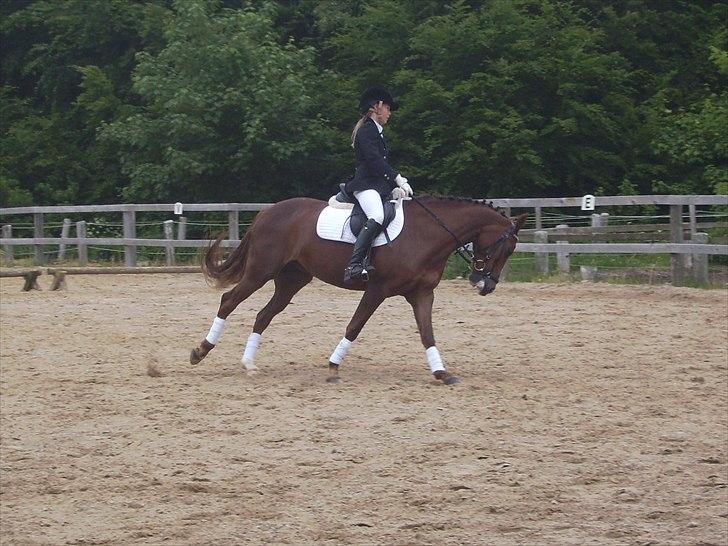 Stævne Ebeltoft Rideklub ;-) billede 180