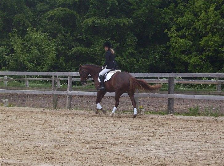 Stævne Ebeltoft Rideklub ;-) billede 181
