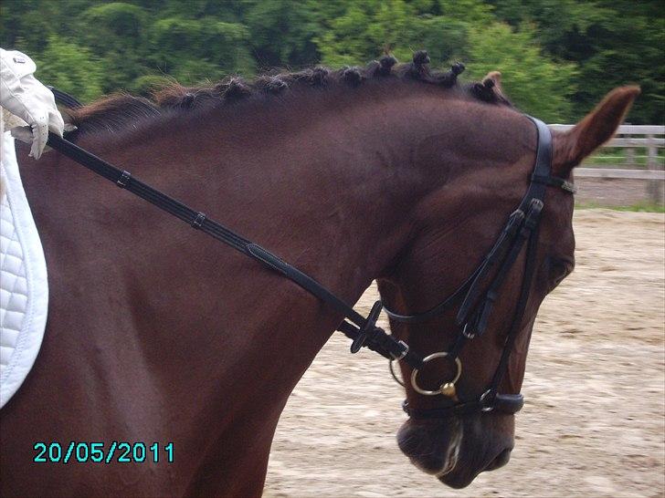 Stævne Ebeltoft Rideklub ;-) billede 182