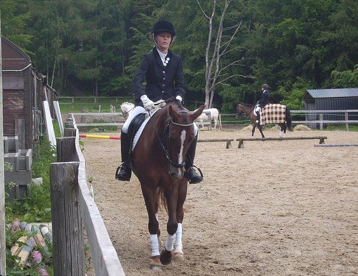 Stævne Ebeltoft Rideklub ;-) billede 183