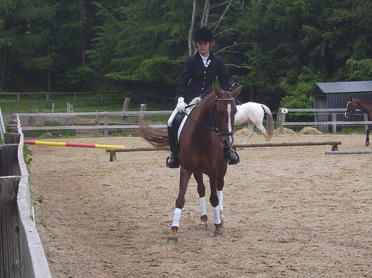 Stævne Ebeltoft Rideklub ;-) billede 184