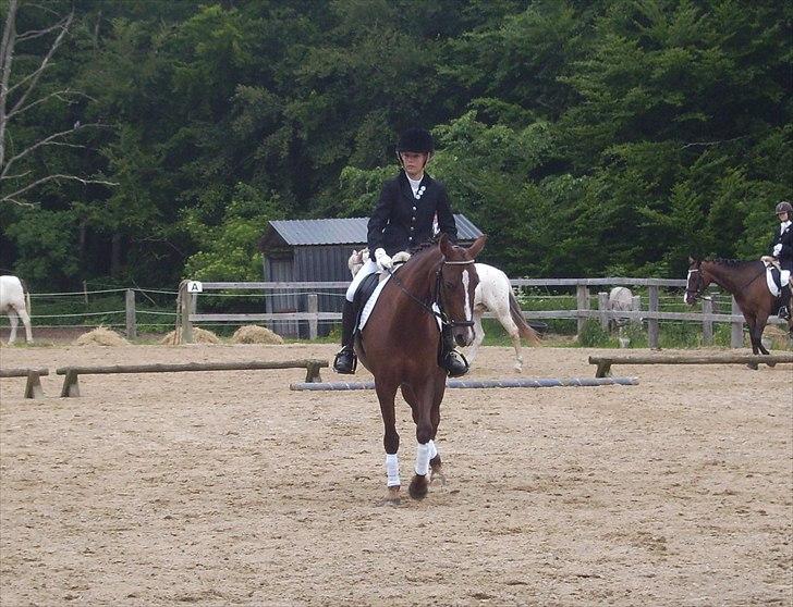 Stævne Ebeltoft Rideklub ;-) billede 185