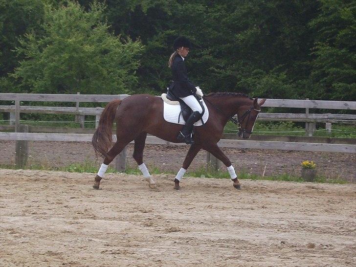 Stævne Ebeltoft Rideklub ;-) billede 187