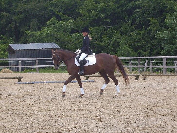 Stævne Ebeltoft Rideklub ;-) billede 188