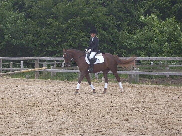 Stævne Ebeltoft Rideklub ;-) billede 189