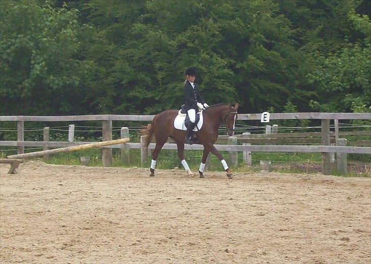 Stævne Ebeltoft Rideklub ;-) billede 190