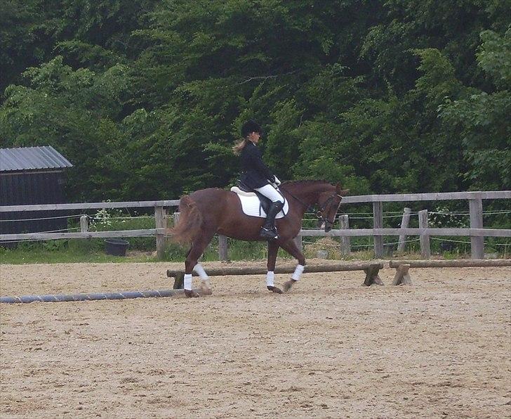 Stævne Ebeltoft Rideklub ;-) billede 191