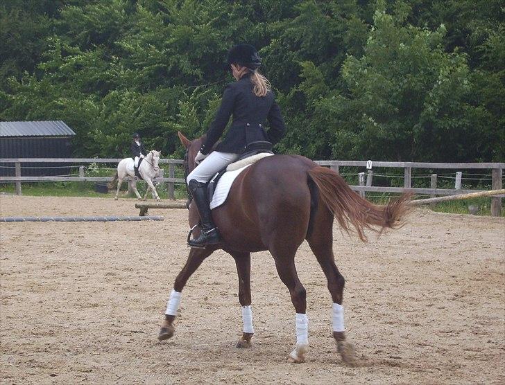 Stævne Ebeltoft Rideklub ;-) billede 193
