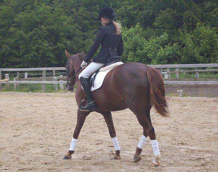 Stævne Ebeltoft Rideklub ;-) billede 194