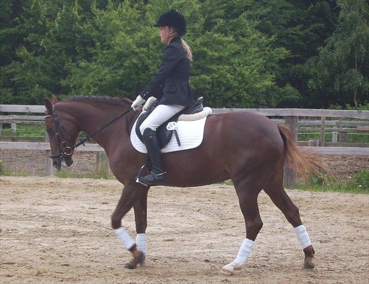 Stævne Ebeltoft Rideklub ;-) billede 195