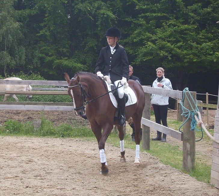 Stævne Ebeltoft Rideklub ;-) billede 196