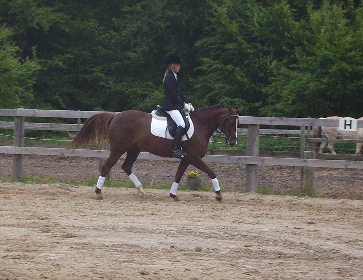 Stævne Ebeltoft Rideklub ;-) billede 197